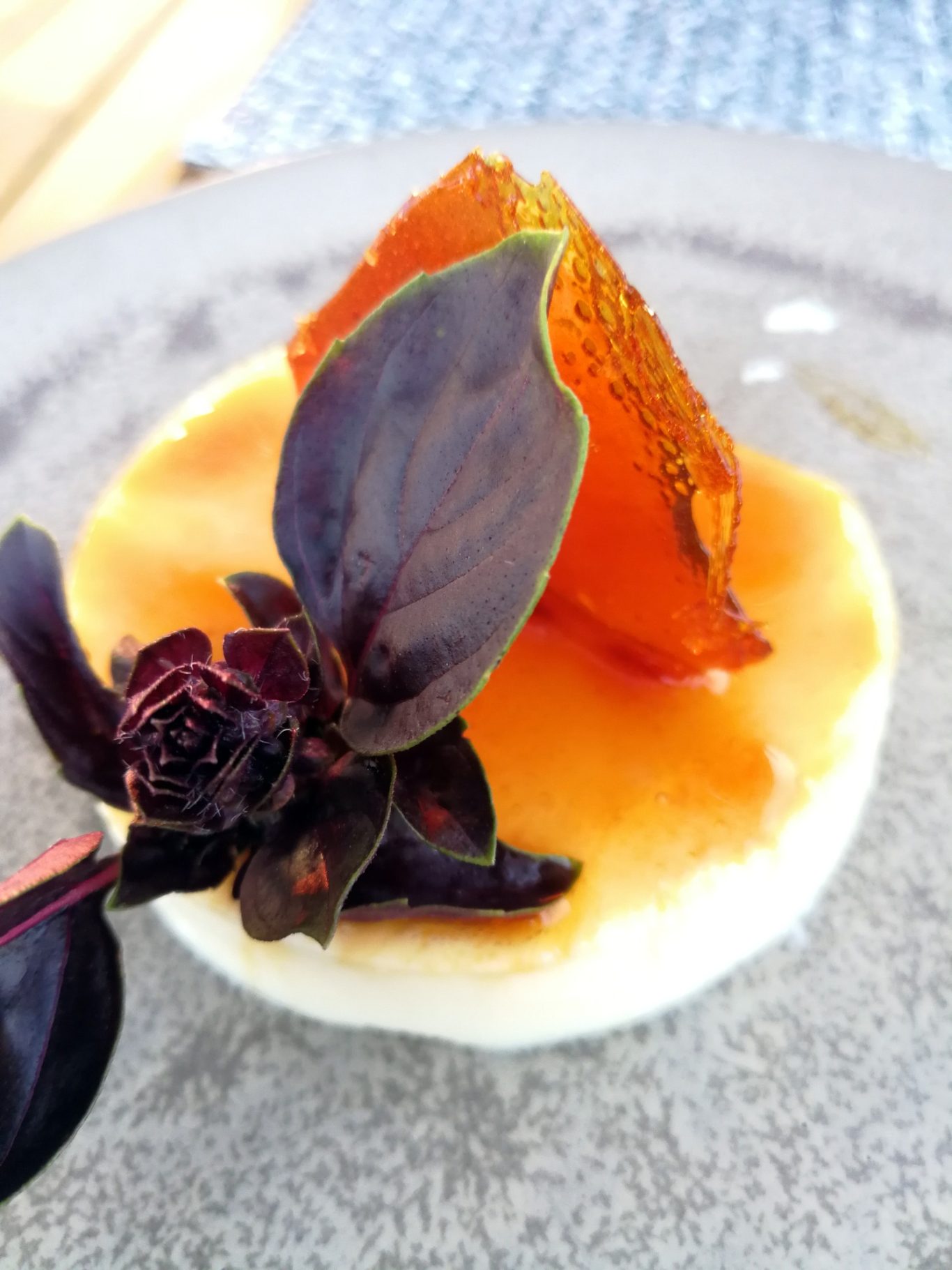 Dessert Dessert mit Fruchtgelee, süßer Soße und essbarem Blatt-Basilikum.