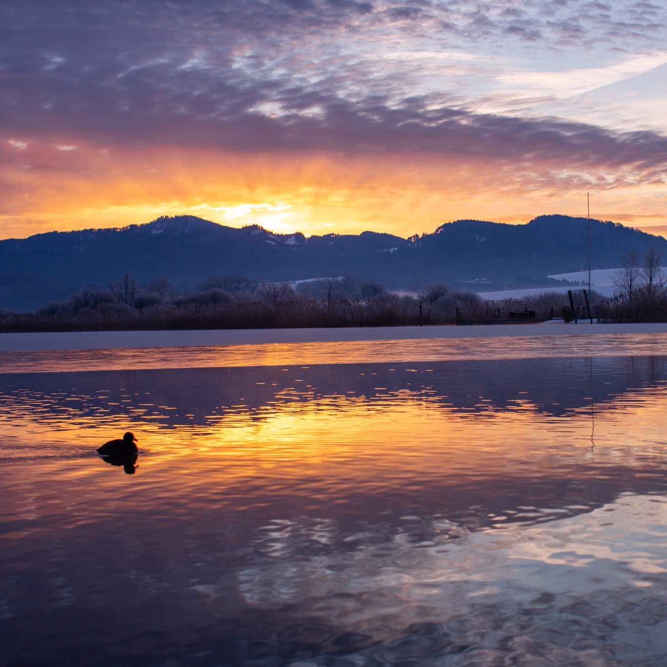 seekirchen am wallersee goldene stunde Sonnenuntergang über einem ruhigen See mit Bergen im Hintergrund und einem schwimmenden Vogel.
