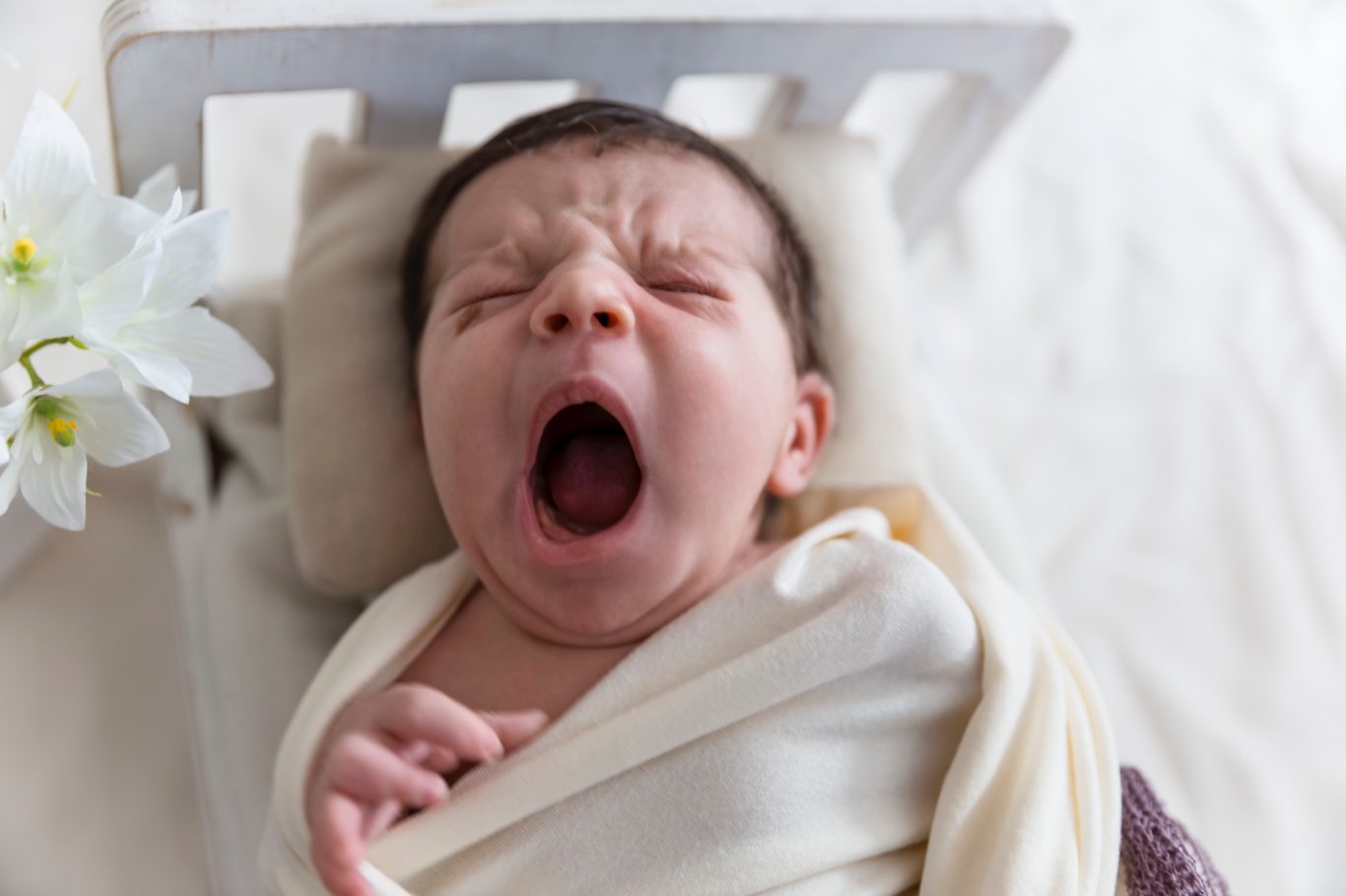 newbornshooting babyshooting GeistFrei Neugeborenes Baby gähnt auf einer Decke, umgeben von einer Blume.